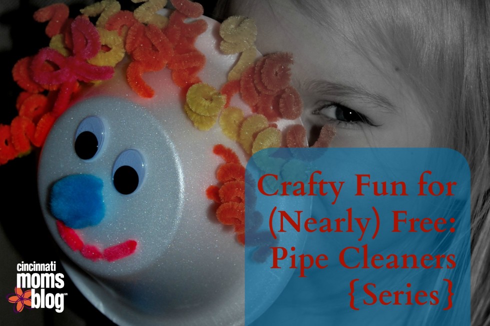 Crafty Fun for (Nearly) Free: Pipe Cleaners {Series}