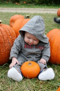 Halloween Cincinnati Pumpkin