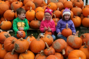 Halloween Cincinnati Pumpkins