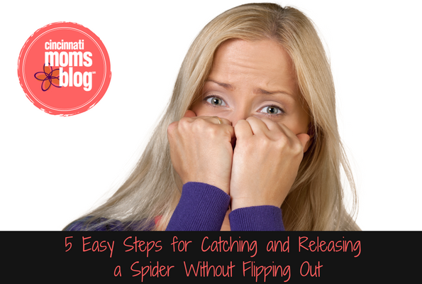 5 Easy Steps for Catching and Releasing a Spider without Flipping Out
