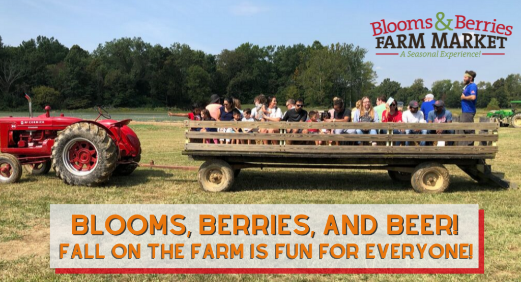 Blooms and Berries Fall on the Farm