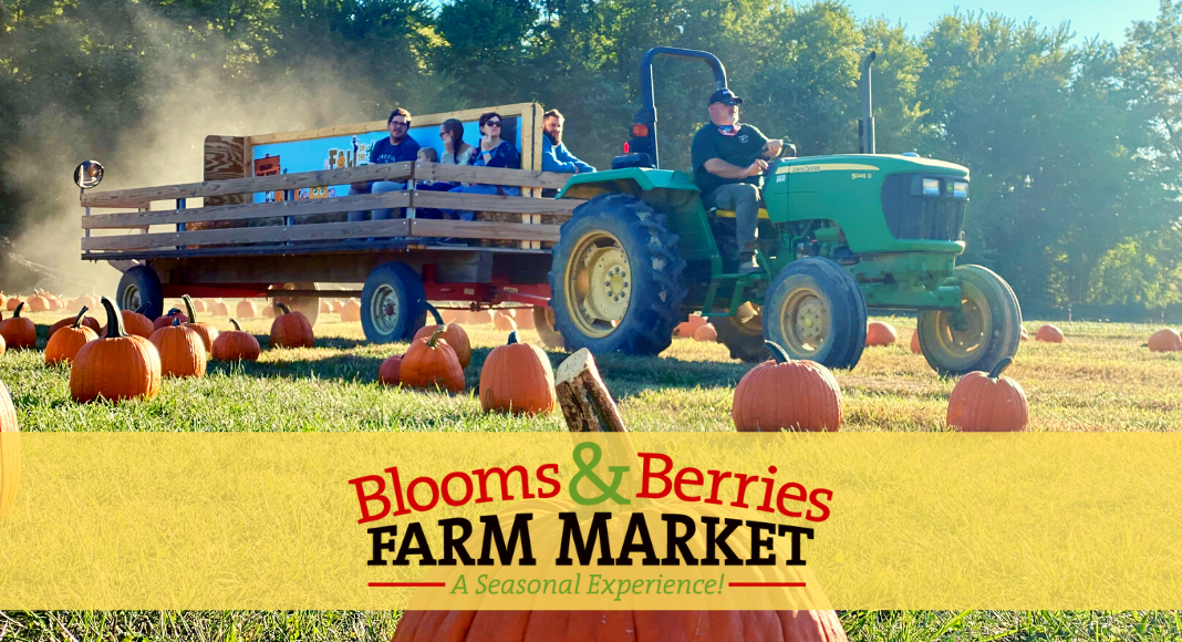 blooms and berries farm market fall on the farm